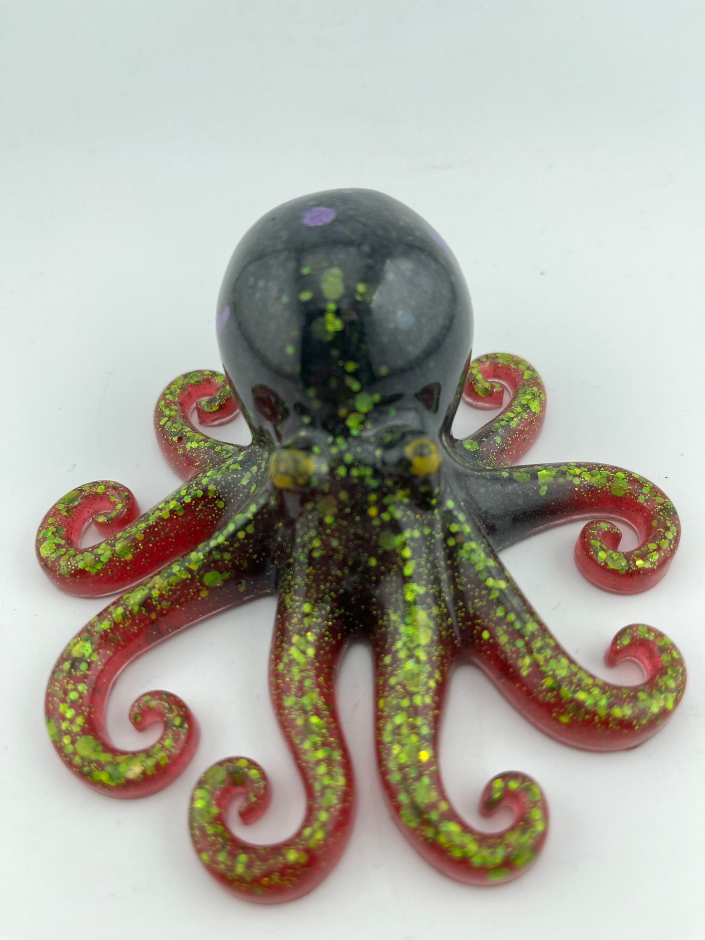 Octopi