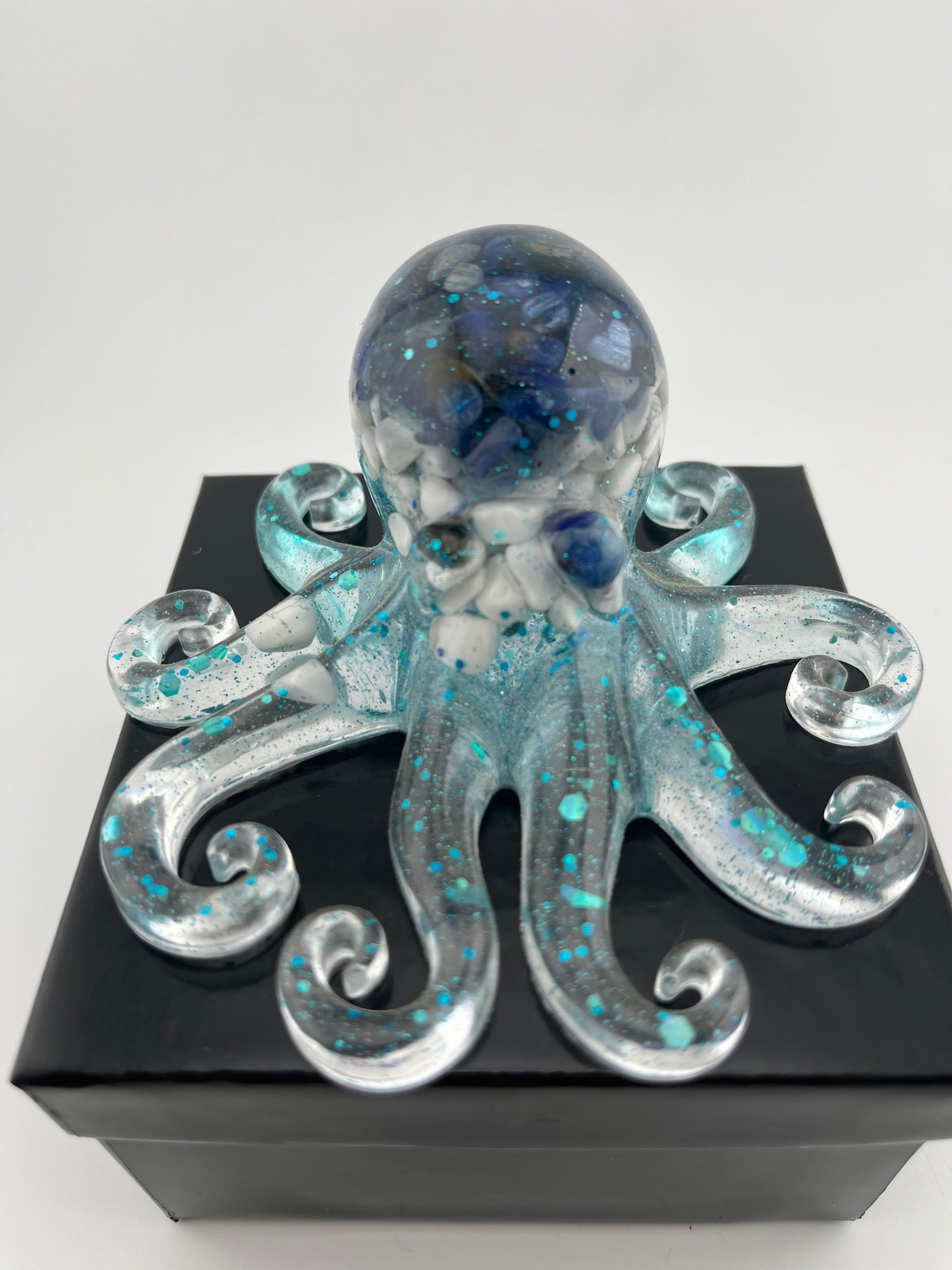 Octopi