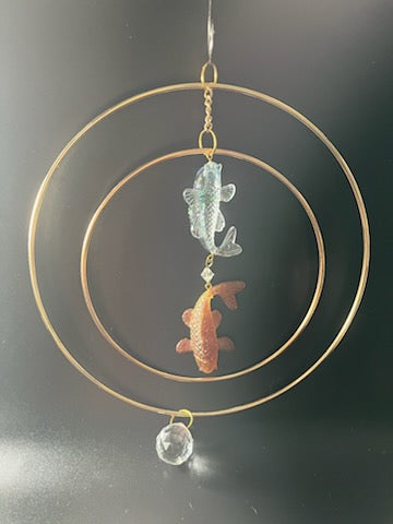Symmetry in Motion Series: Cosmic Koi